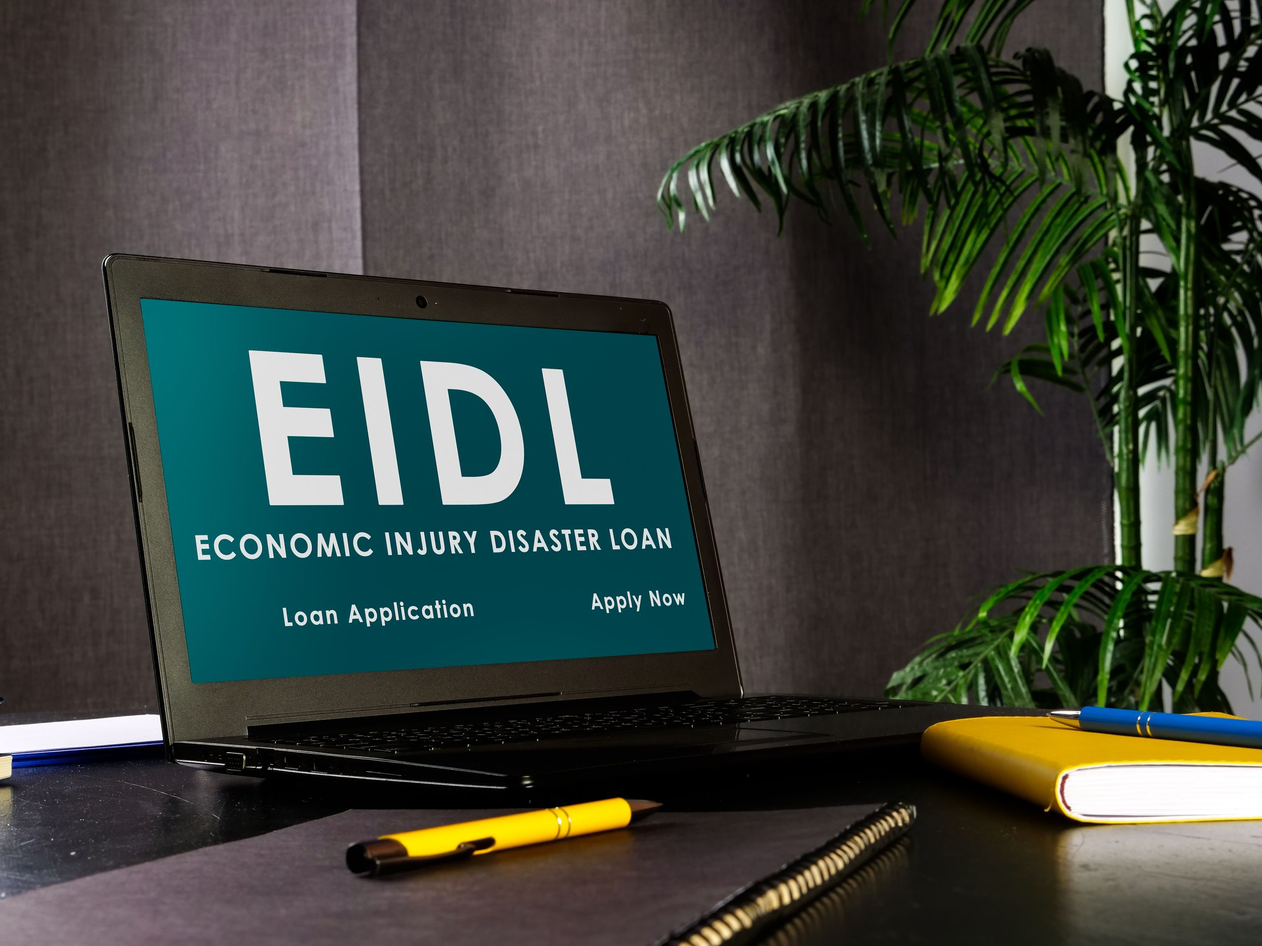 SBA EIDL payments